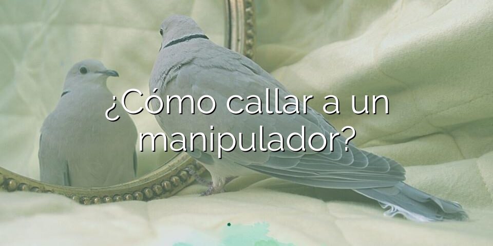 ¿Cómo callar a un manipulador?