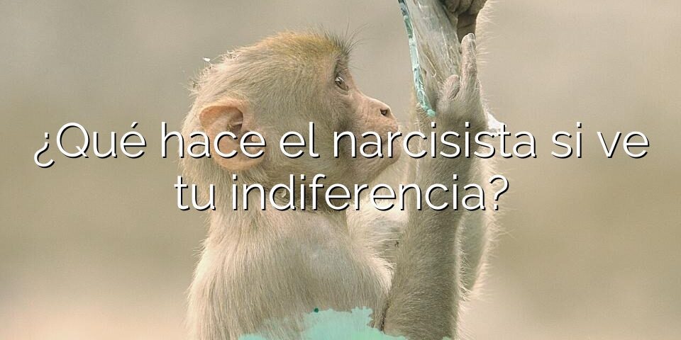 ¿Qué hace el narcisista si ve tu indiferencia?