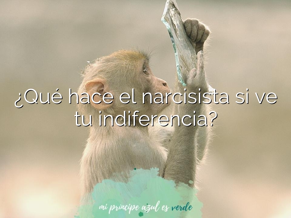 ¿Qué hace el narcisista si ve tu indiferencia?