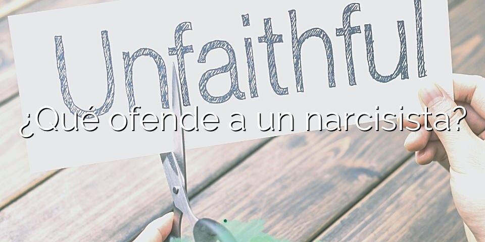 ¿Qué ofende a un narcisista?